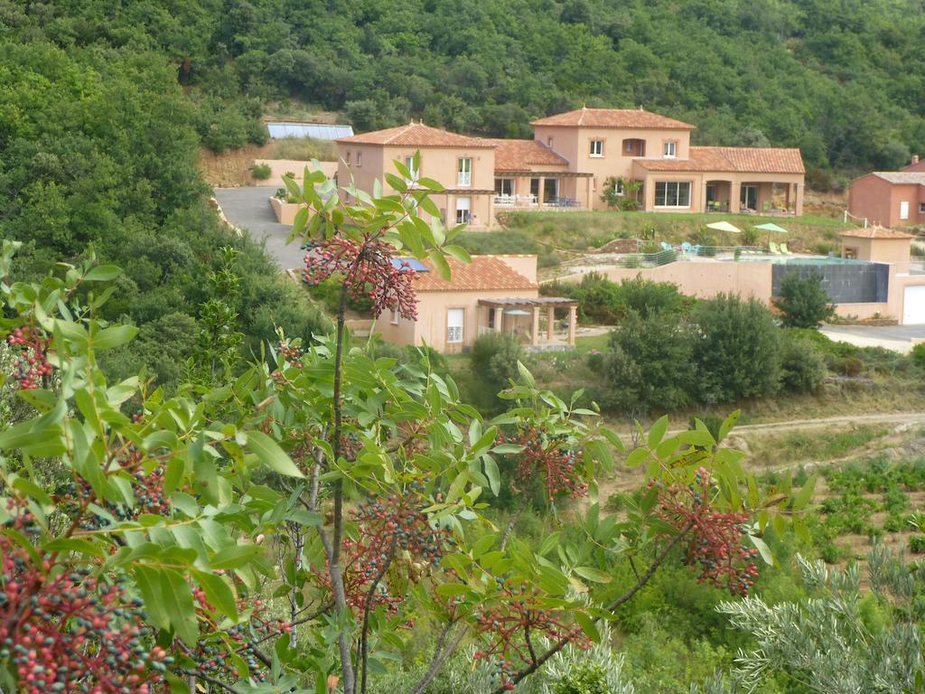 Domaine De Flo Adult A Partir De 16 Ans Bed & Breakfast Saint-Jean-de-la-Blaquiere Exterior photo